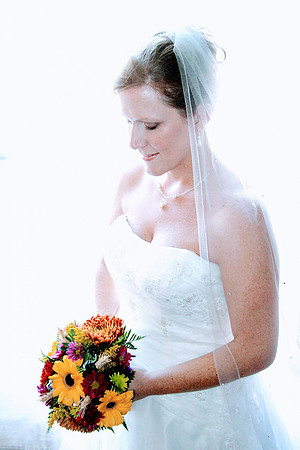 polly-derek-1-367-61319088001