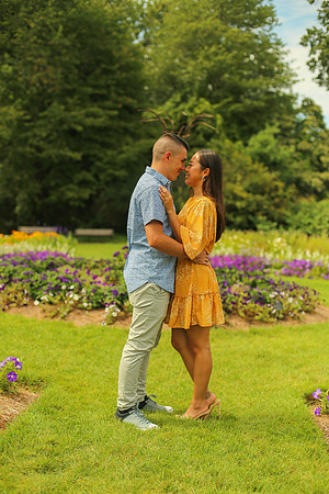 Pictures -212